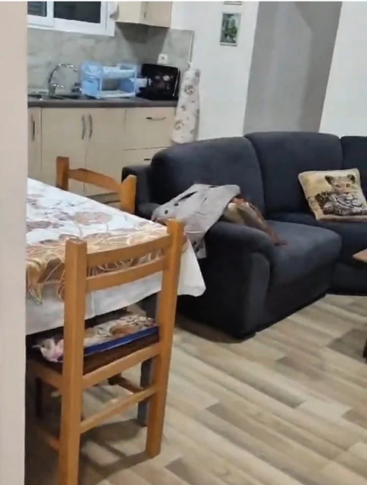 Tirane, jepet me qera apartament 2+1+Ballkon Kati 2, 100 m² 400 € 