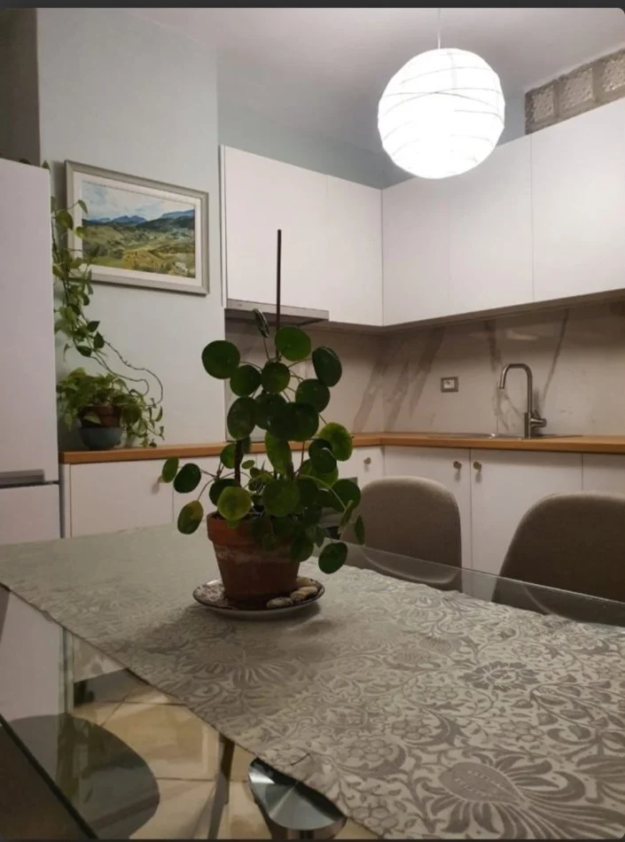 Tirane, jepet me qera apartament 1+1+Ballkon Kati 6, 91 m² 600 € (Rr.Mihal Grameno, 10 min nga Liceu Artistik)