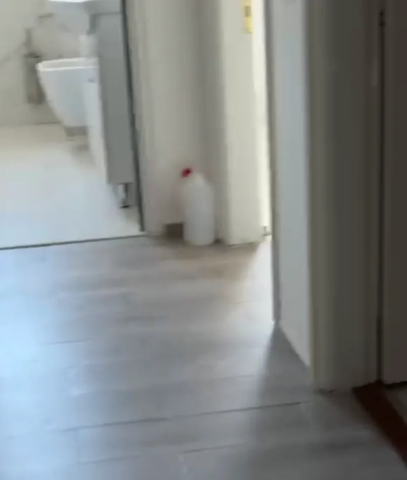 Tirane, jepet me qera Vile Vile 2 Katshe Kati 2, 70 m² 376 € (Rruga Besim Alla)