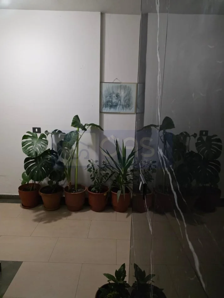 Tirane, jepet me qera apartament 1+1+Aneks+Ballkon Kati 4, 65 m² 650 € (Ish Ekspozita)