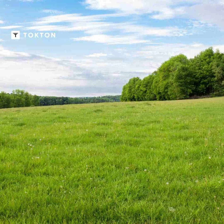 Tirane, shitet toke , 2.000 m² 180.000 € (Paskuqan)