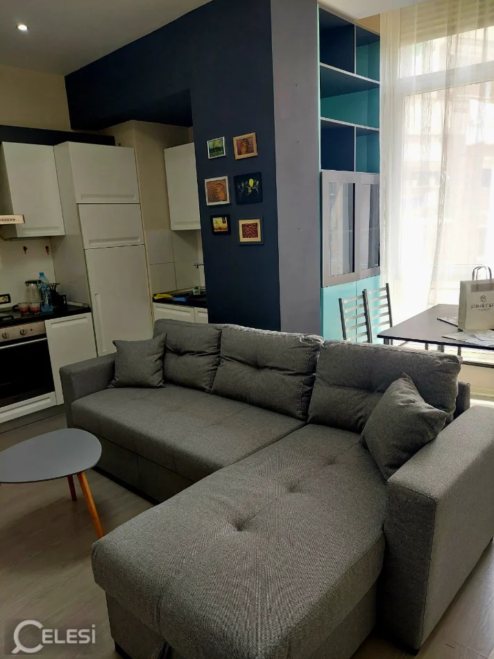 Tirane, jepet me qera apartament 1+1+Ballkon Kati 2, 65 m² 600 € (RRUGA E ELBASANIT PRANE LICEUT)