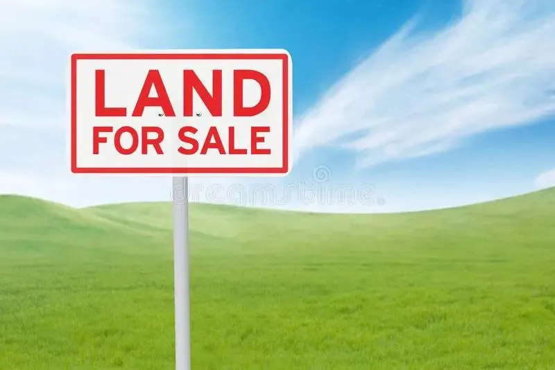 Borsh, shitet toke , 6.000 m² 1.800.000 € 