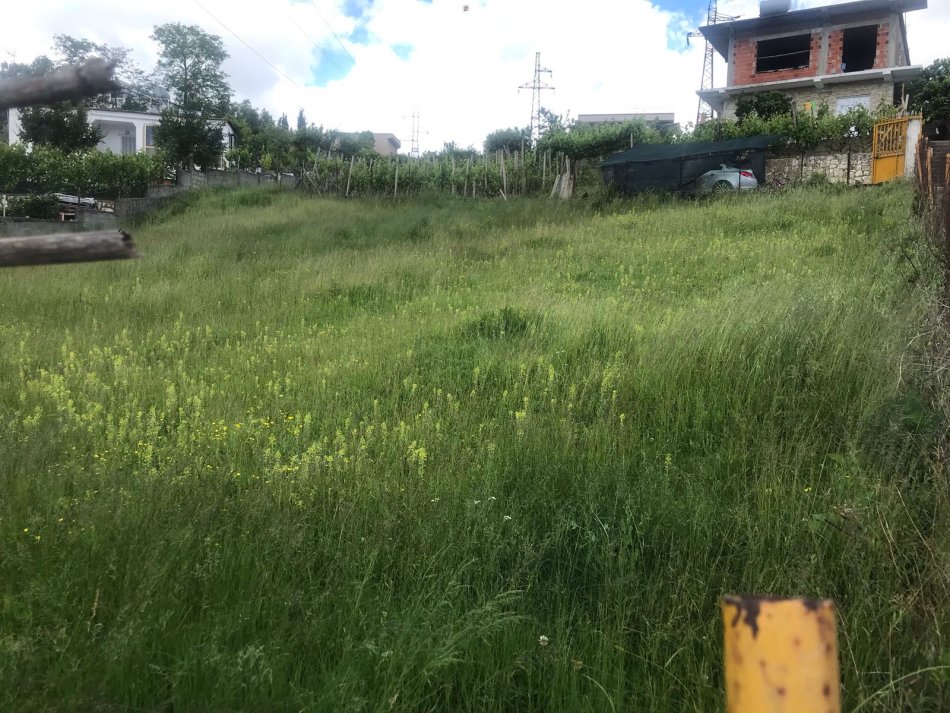 Durres, shitet toke , 700 m² 55.000 € (në Shkozet Durres.)