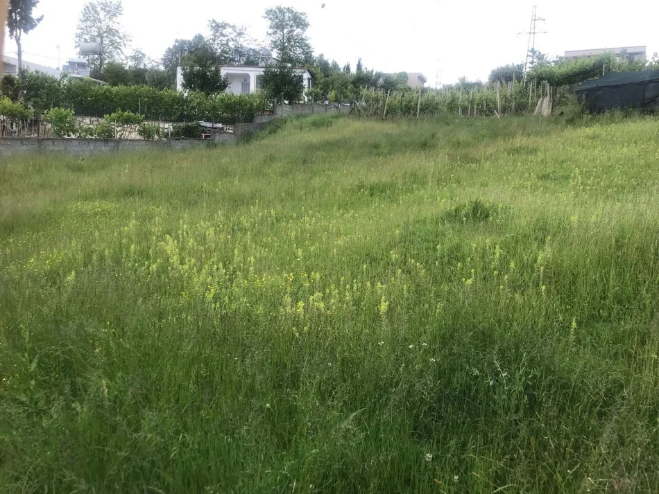 Durres, shes truall , 700 m² 54.000 € (në Shkozet Durres)