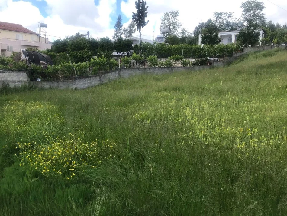 Durres, shes truall , 700 m² 54.000 € (në Shkozet Durres)