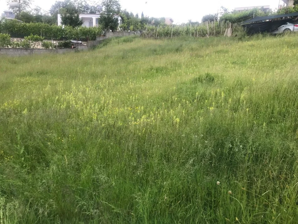 Durres, shes truall , 700 m² 54.000 € (në Shkozet Durres)