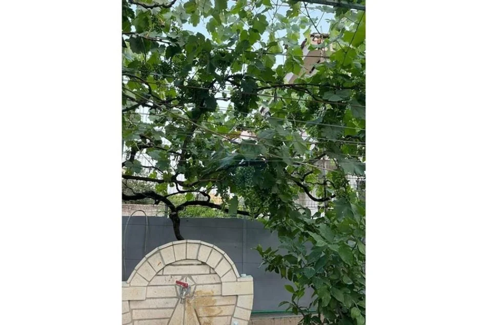 Tirane, shitet Vile , 220.000 € (Paskuqan)