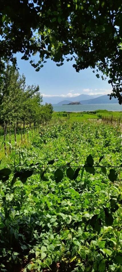 Vacances en famille en Albanie !