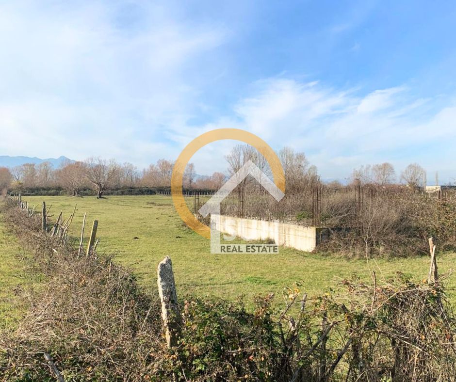 Shkoder, shitet toke , 4.000 m² 44.000 € (SHTOJ I RI)