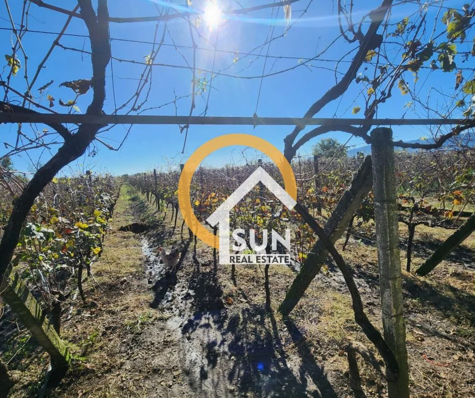 Shkoder, shitet Vile 3 Katshe , 500 m² 160.000 € (GRUDE)