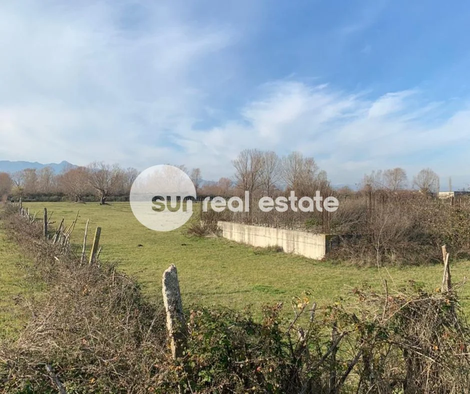 Shkoder, shitet toke , 4.000 m² 55.000 € 