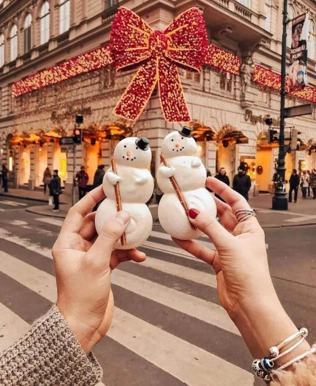 Tirane, ofroj City-tour Austri VIENE – BUDAPEST – ZAGREB – BEOGRAD –– 5 299 Euro