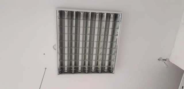 Tirane, shes 20 cope ndricues neoni tavanor 600 Leke/copa