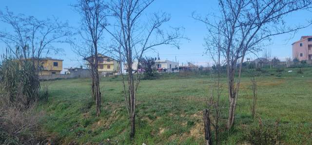 Durres, shes toke 3.070 m² 140.000 Euro (SHEN AVLASH, AUTOSTRADE)