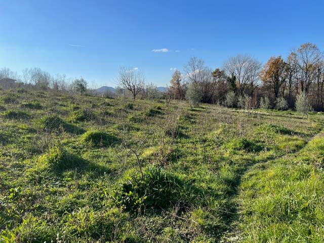 Tirane, shitet 2.100 m² 100.000 Euro (Rruga Teg-Daias)