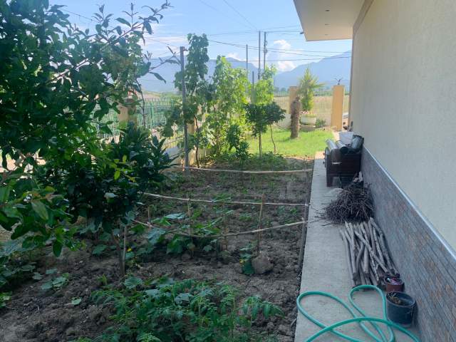 Tirane, shes Vile Kati 3, 260.000 Euro (Kamez)