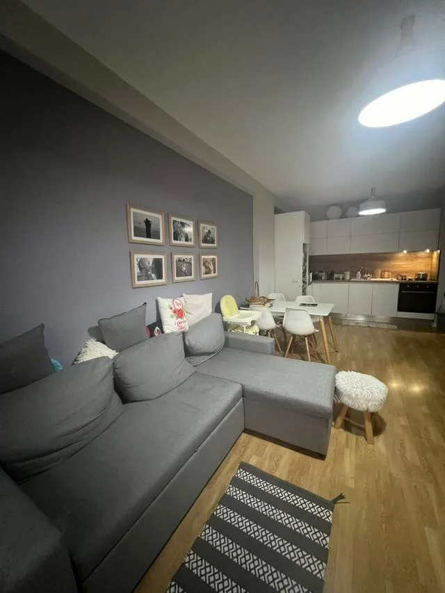 Tirane, jepet me qera apartament 1+1+BLK Kati 3, 65 m² 350 Euro (Muhamed Deluiu,prane Thesarit)