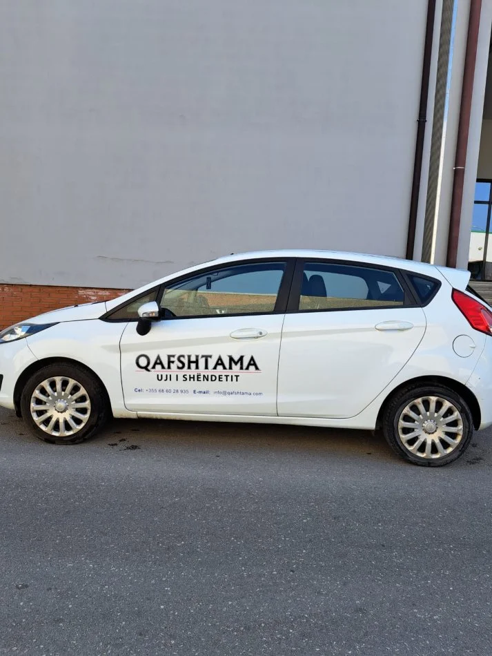 SHITET FORD FIESTA MANUAL 2016