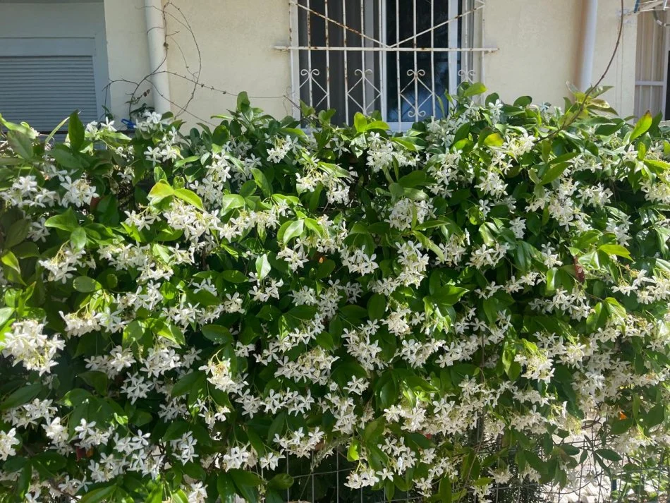 Durres, shitet apartament 1+1, Kati 1, 54 m² 125,000 € (Shkembi Kavajes,Durres)