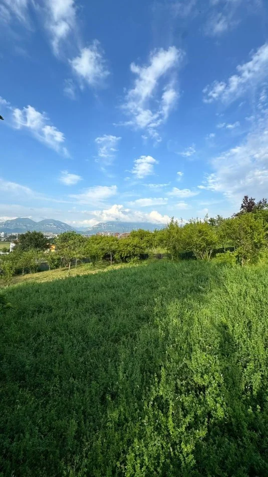 Tirane, shitet toke , , 1,100 m² 175,000 € (Myslym Shima)