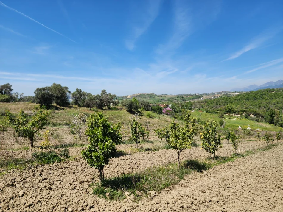 SHITET SUPER TOKE: 3221m2 📍 Në Qeha 5 Min Nga Mulleti ( 95€/m² Ultra Okazion) (( 297,000€ ))💣