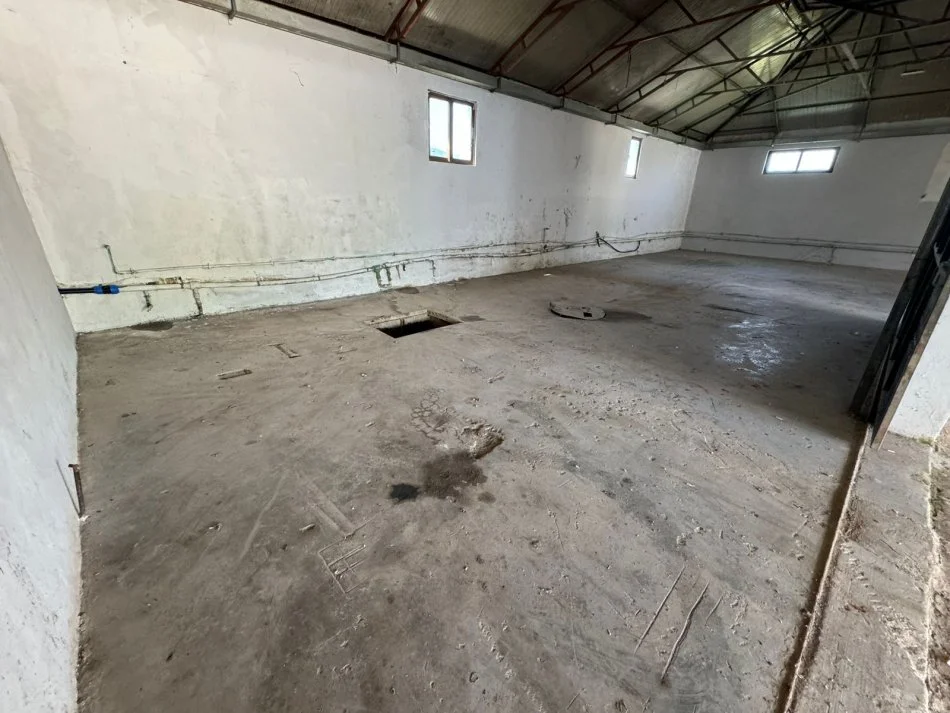 Tirane, jepet me qera magazine Kati 0, 1.000 m² 1.300 € (Prush)