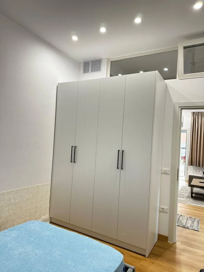 Tirane, jepet me qera apartament 2+1 Kati 1, 60 m² 400 € (Rruga Selita e Vjeter)