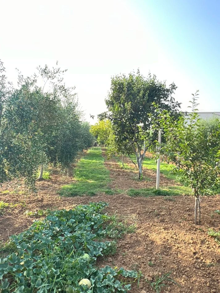 Tirane, jepet me qera shtepi 2 Katshe Kati 2, 3.100 m² 2.500 € (Lundër)