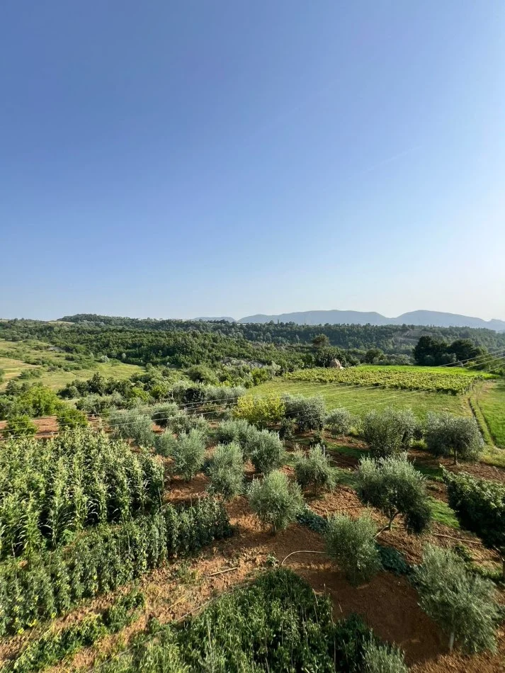 Tirane, jepet me qera shtepi 2 Katshe Kati 2, 3.100 m² 2.500 € (Lundër)