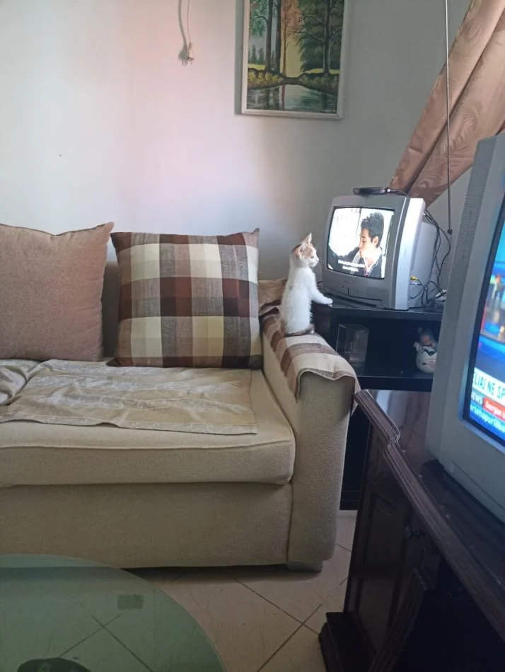Durres, shitet apartament 1+1+Aneks Kati 2, 56 m² 60.000 € (Rruga "Jeta e Re", lagja 18, prane parkut te ri "VALA" tek Stadiumi)