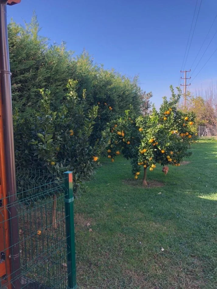 Tirane, shitet Vile 3 Katshe , 500 m² 380.000 € (Rruga Argjinatura)