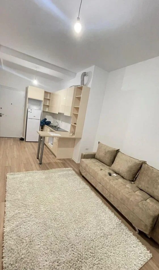 Tirane, jepet me qera apartament 1+1+Ballkon Kati 11, 70 m² 500 € (21 Dhjetori -Rruga Frosina Plaku)