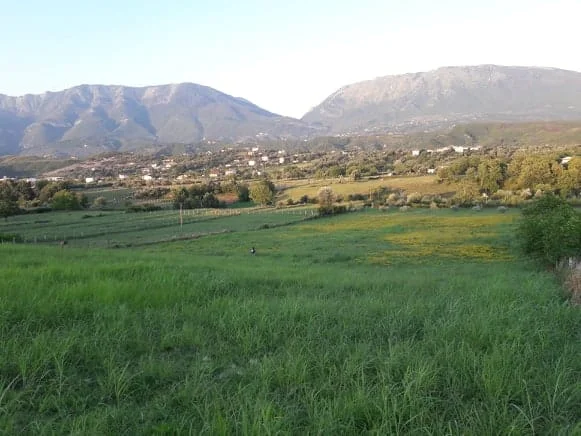 Tirane, shes toke , 12.000 m² 1.920.000 € (LUNDER)