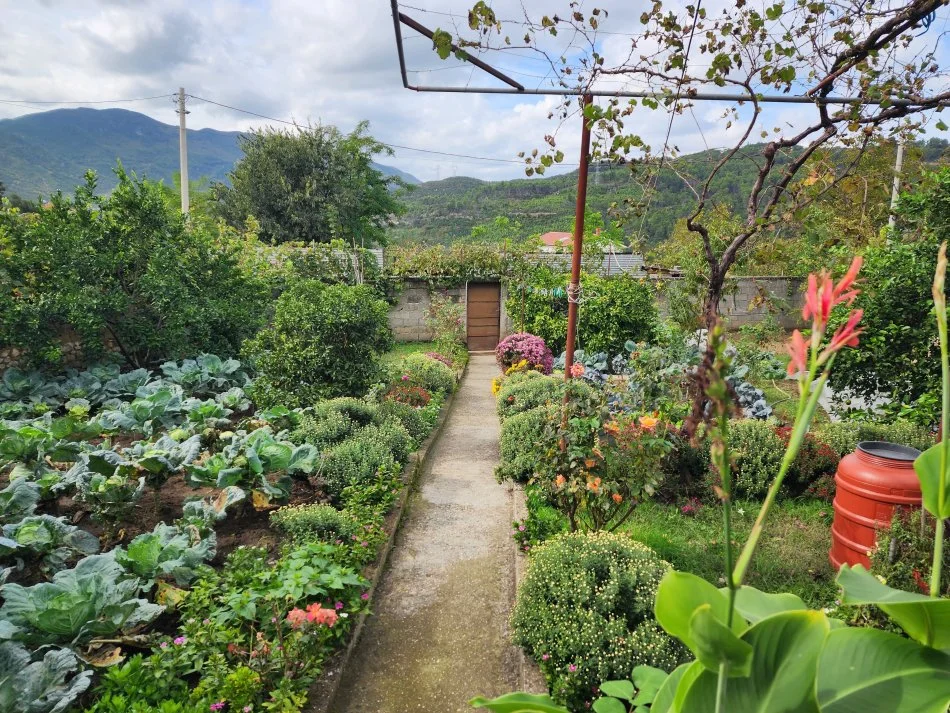 SHITET: VILE + Truall E Veçantë 📍 Ibë Të Poshtme 3+1+2wc ( 18 Min Nga Qendra Tiranës) -- 113,500€****