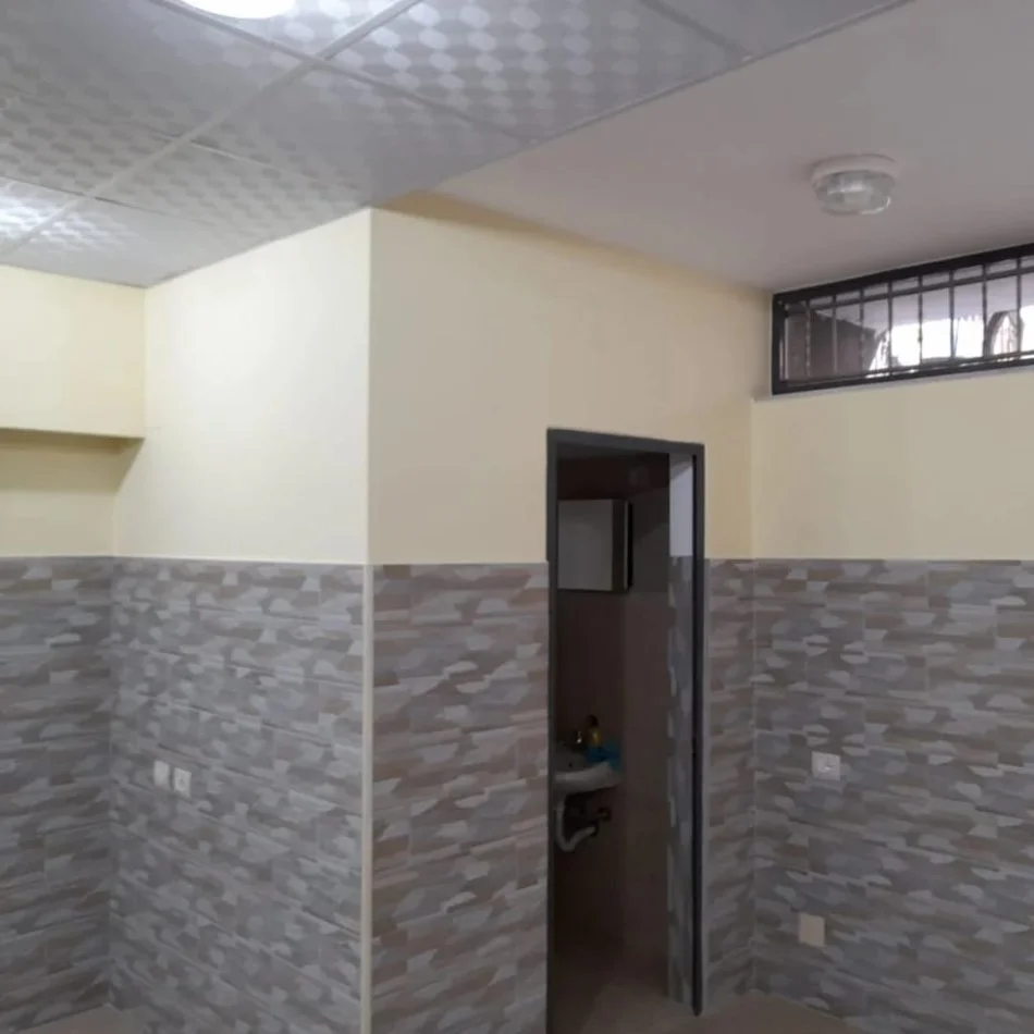 Tirane, shes dyqan Kati 0, 124 m² 169.000 € (Vasil Shanto Rruga Viktor eftemiu)