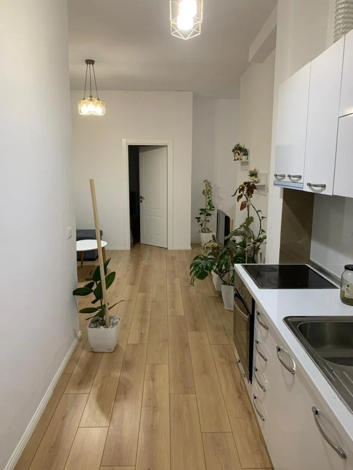 Tirane, jepet me qera apartament 1+1+Ballkon Kati 1, 450 € (Eshref Frasheri (Don Bosko))