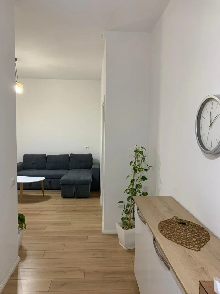 Tirane, jepet me qera apartament 1+1+Ballkon Kati 1, 450 € (Eshref Frasheri (Don Bosko))