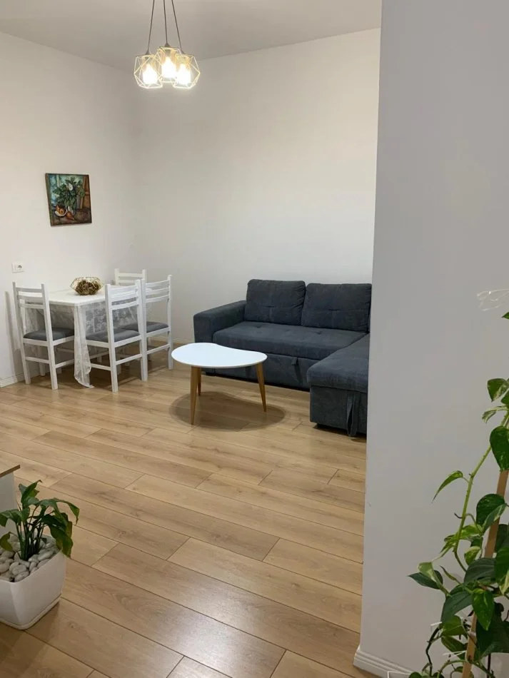 Tirane, jepet me qera apartament 1+1+Ballkon Kati 1, 450 € (Eshref Frasheri (Don Bosko))