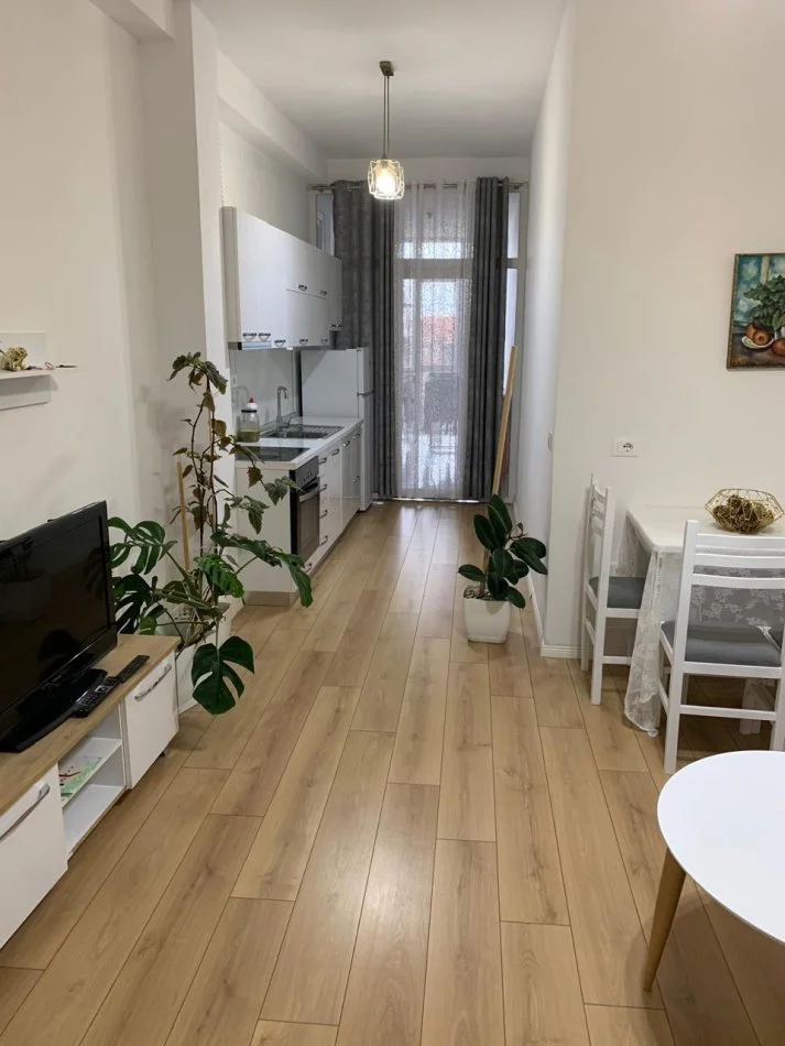 Tirane, jepet me qera apartament 1+1+Ballkon Kati 1, 450 € (Eshref Frasheri (Don Bosko))