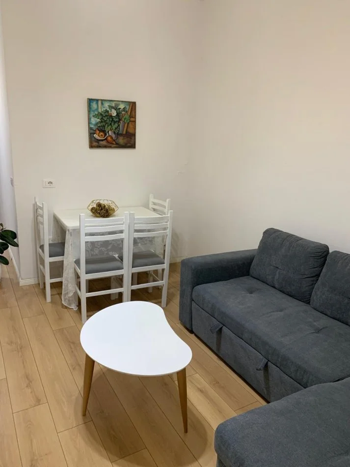 Tirane, jepet me qera apartament 1+1+Ballkon Kati 1, 450 € (Eshref Frasheri (Don Bosko))