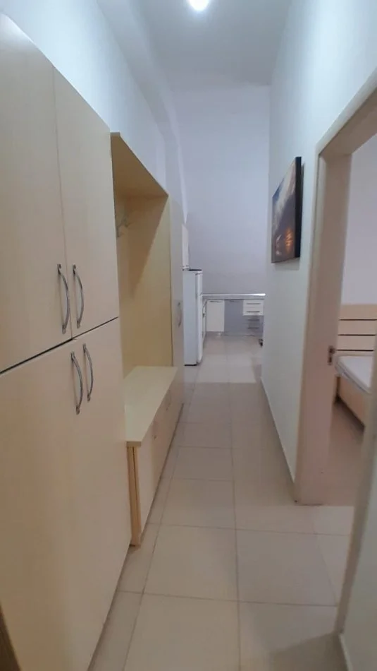 Tirane,  Apartament 1+1 me qira  Kati 5, 57 m² 270 € (Rruga Thesarit)