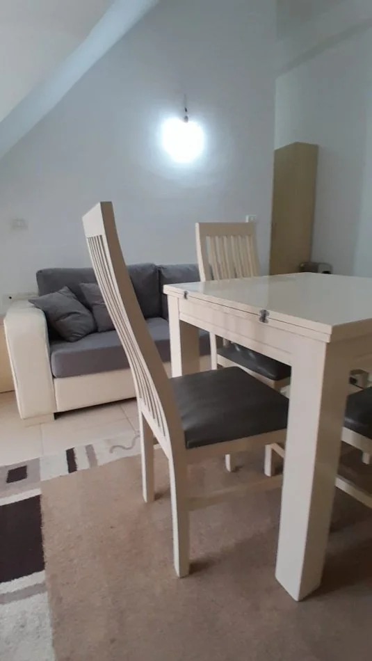 Tirane,  Apartament 1+1 me qira  Kati 5, 57 m² 270 € (Rruga Thesarit)