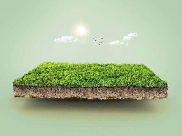 Tirane, shitet toke , 18.250 m² (Rinas)