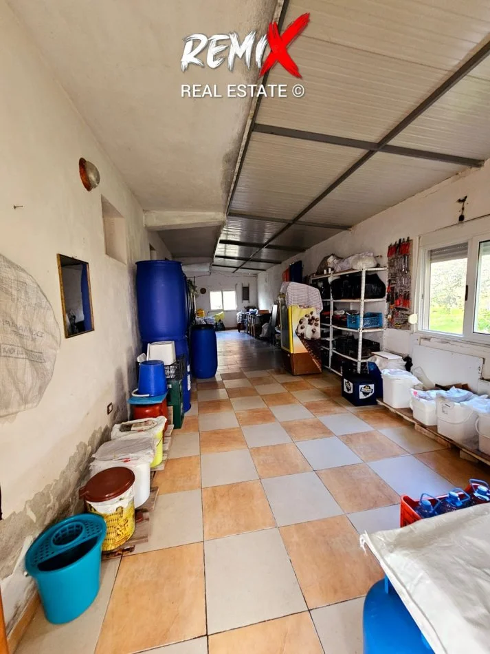 Durres, shitet Vile 1 Katshe Kati 2, 600 m² 220.000 € 