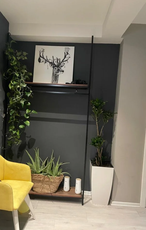 Vlore, shitet shtepi 2+1+Ballkon , 500 m² (Vlore)