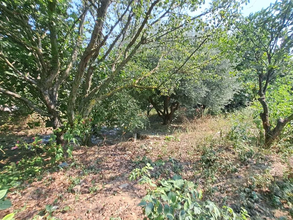 Vlore, shitet shtepi 2+1 Kati 0, 600 m² 45.000 € (Sherishte, Vlore)