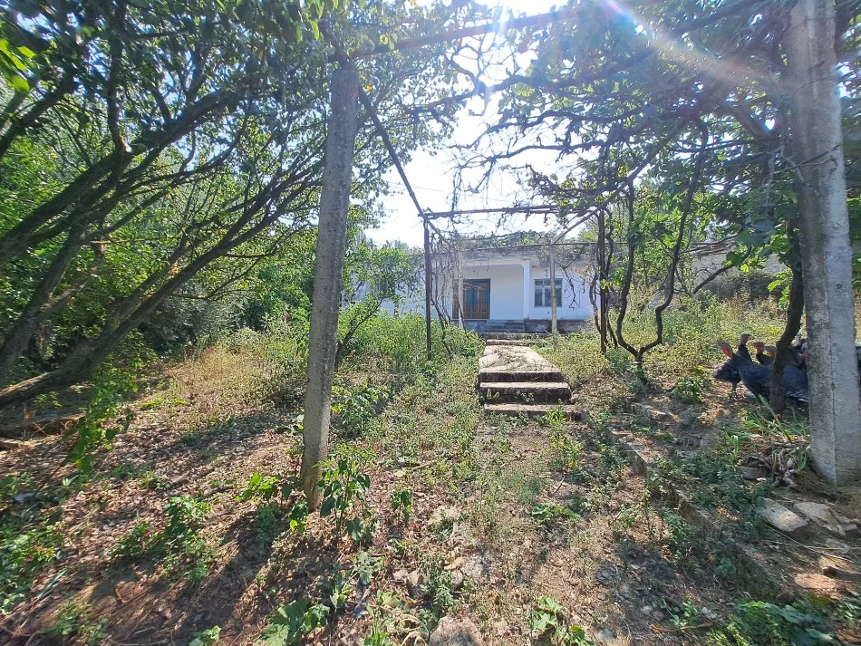 Vlore, shitet shtepi 2+1 Kati 0, 600 m² 45.000 € (Sherishte, Vlore)