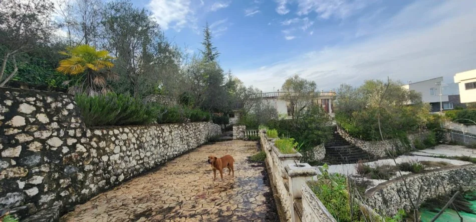 Tirane, shitet toke , 62.000 m² (prane qenderes tregetare Teg)