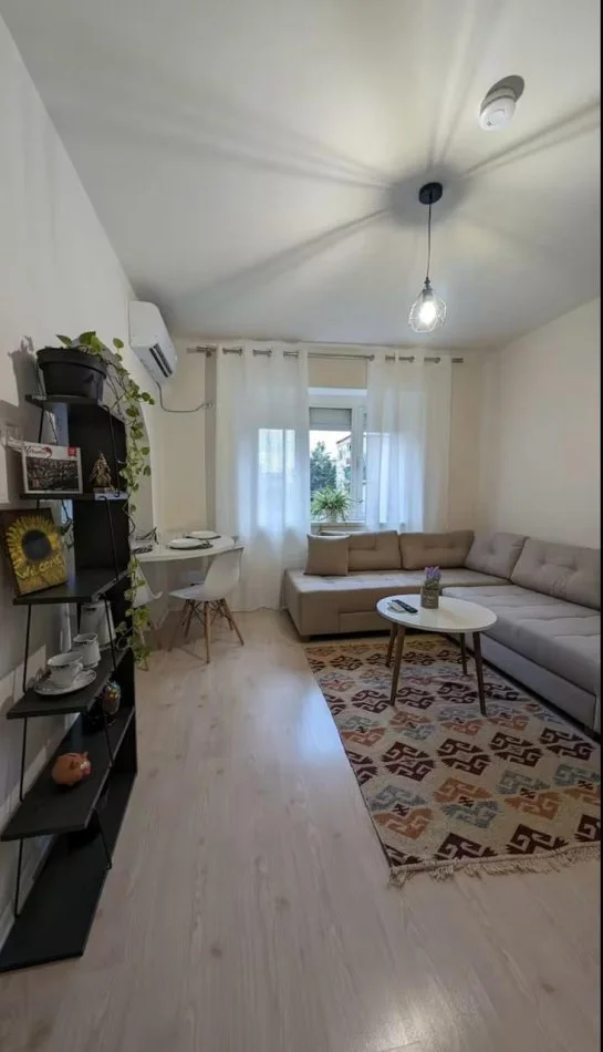 Tirane, jepet me qera apartament 1+1 Kati 2, 55 m² 600 € (stacion treni)